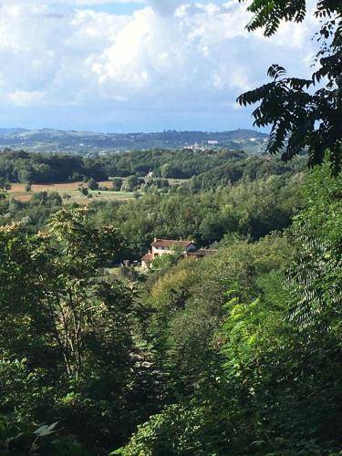 Photo of Others in Gorizia