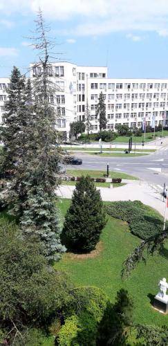 Photo of Others in Novi Sad