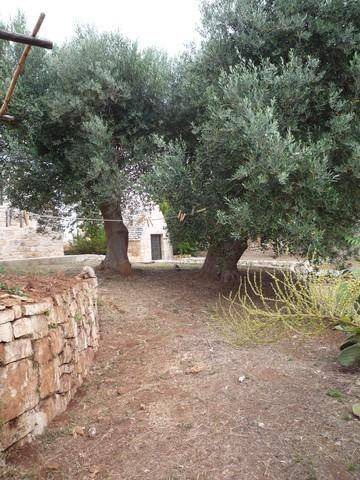 Photo of Others in Casalini