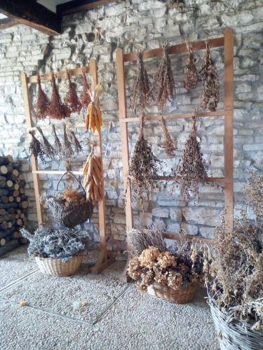 Photo of Others in Acqualagna
