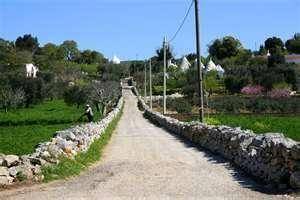 Photo of Others in Casalini