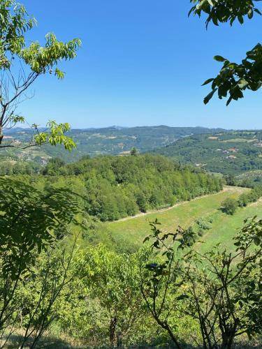 Photo of Others in Benevello