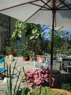 Photo of Others in Scandicci