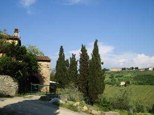 Photo of Others in Scandicci
