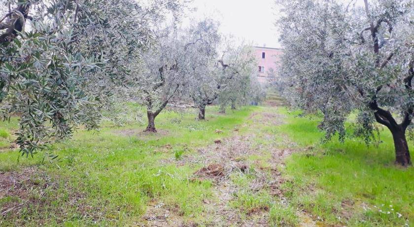 Photo of Others in Mosciano Sant'Angelo
