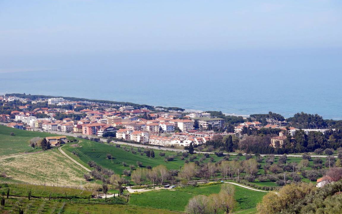Photo of Others in Marciano