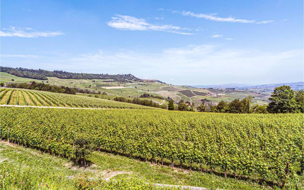 Photo of Others in Vignale Monferrato
