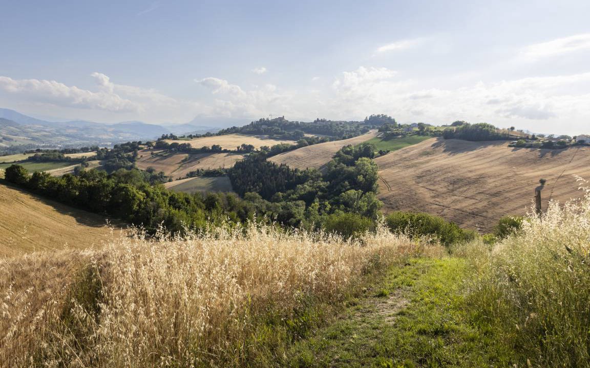 Photo of Others in Petritoli