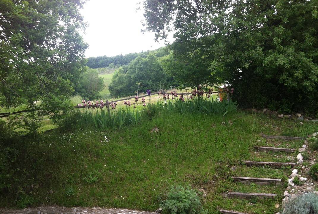 Photo of Others in Sansepolcro