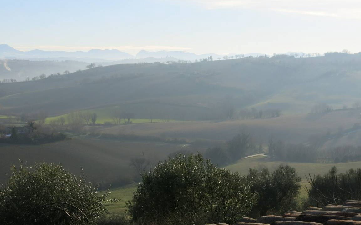 Photo of Others in Trecastelli