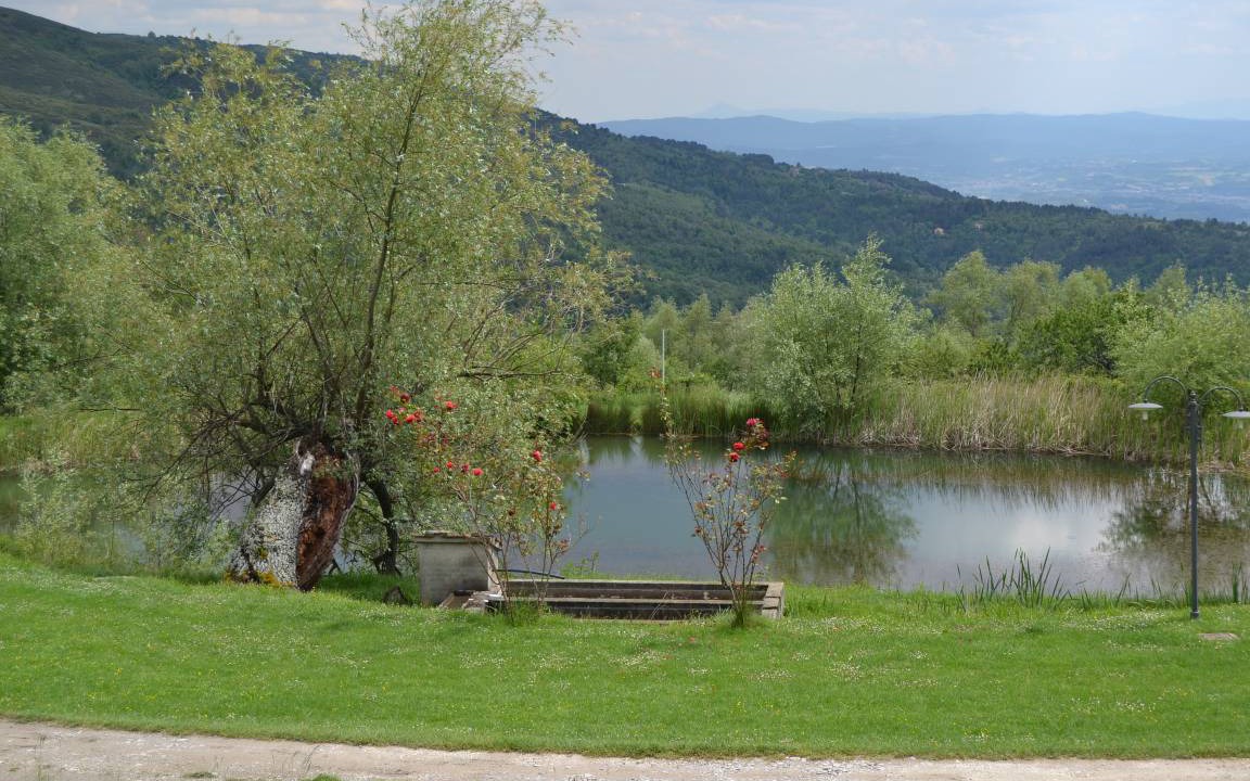 Photo of Others in Castelfranco di Sopra