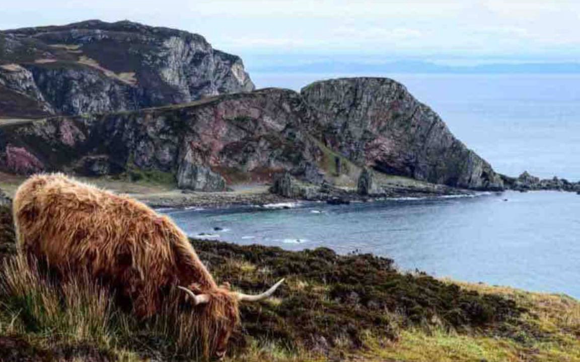 Photo of Others in Laphroaig