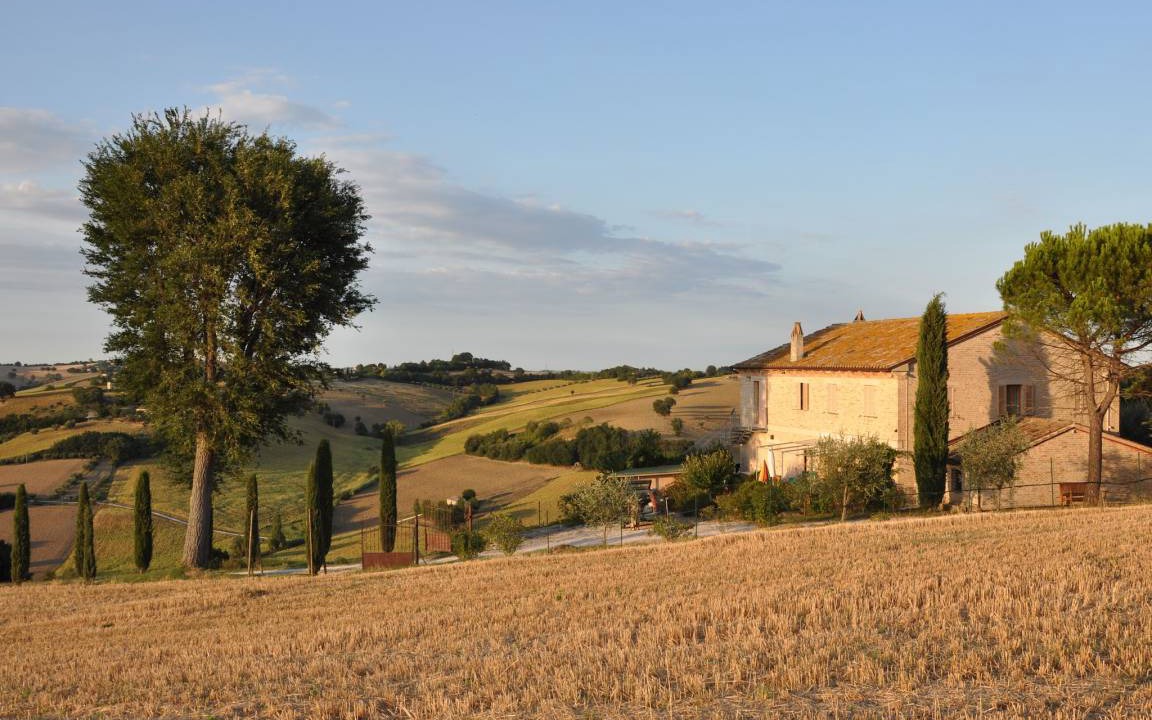Photo of Others in Ostra