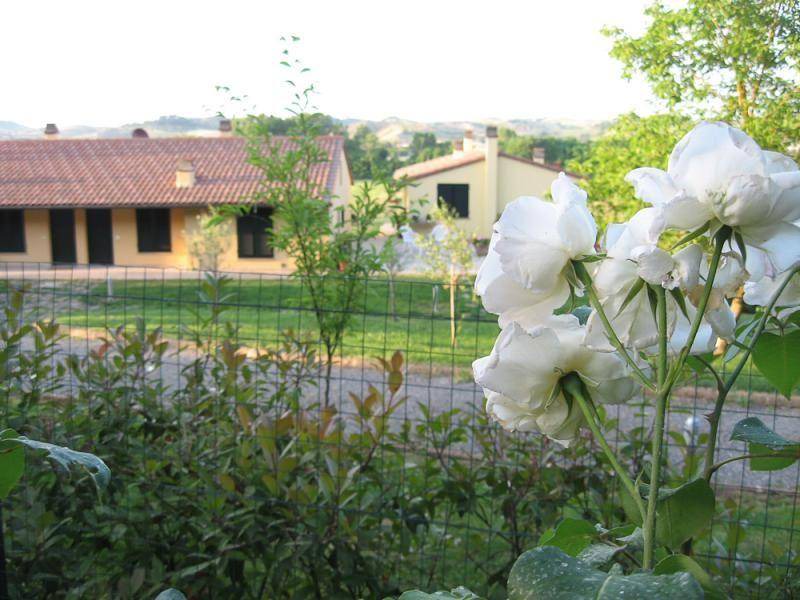 Photo of Others in Gambassi Terme