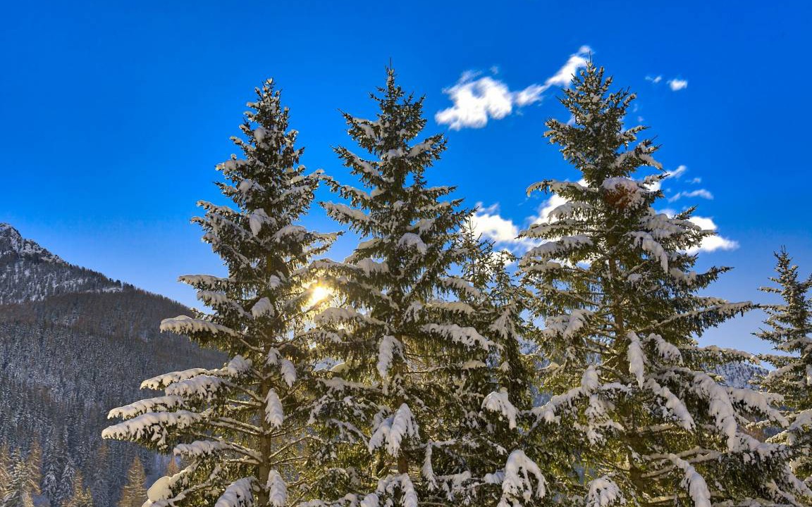 Photo of Others in Champoluc