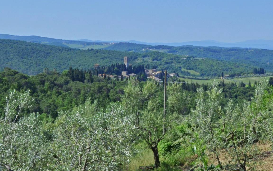 Photo of Others in San Pietro in Bossolo