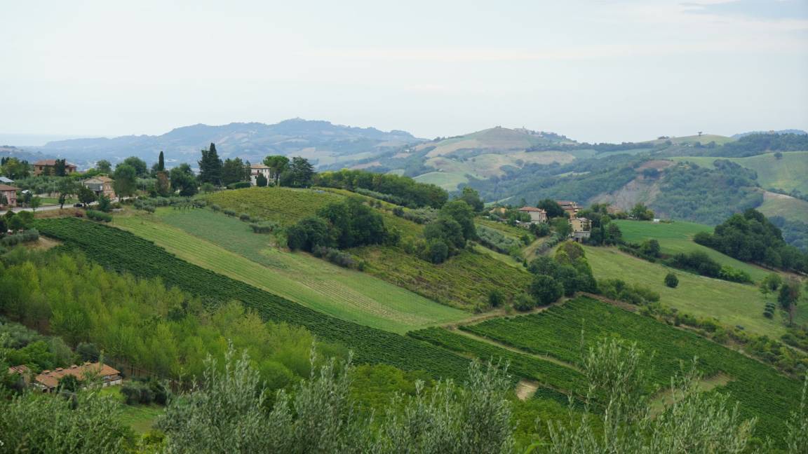 Photo of Others in Ortezzano