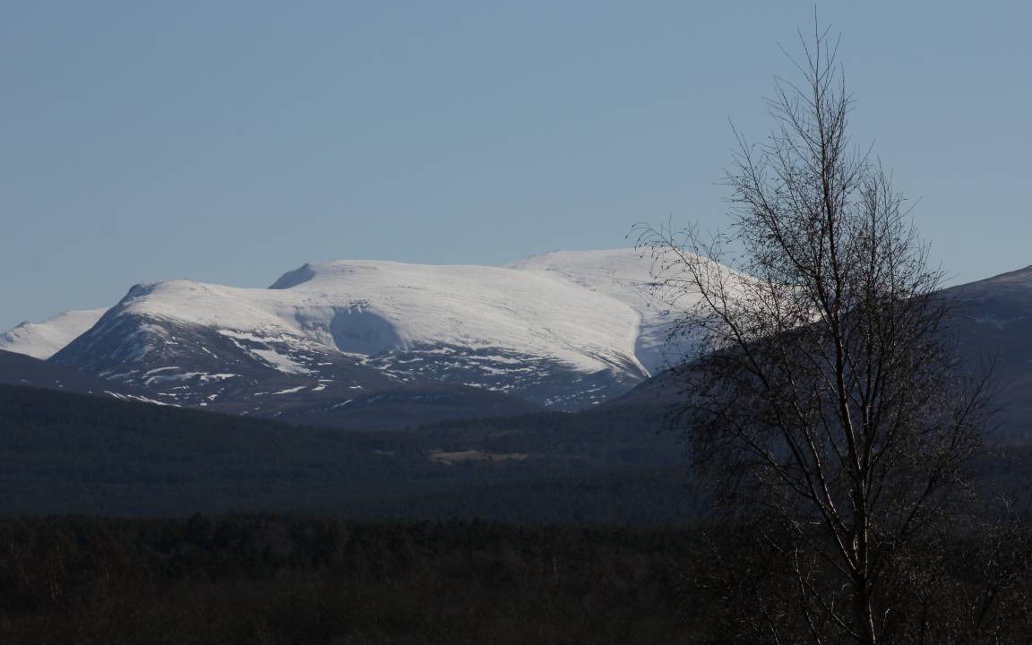 Photo of Others in Grantown-on-Spey