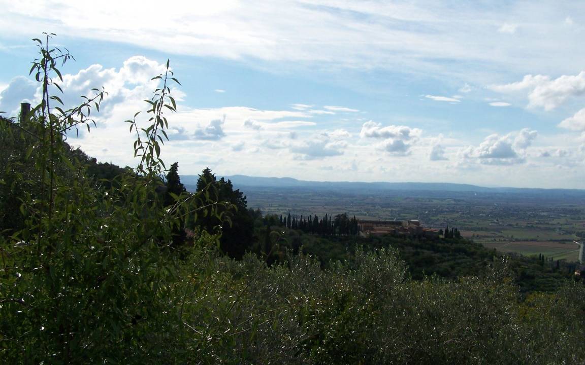 Photo of Others in Cortona