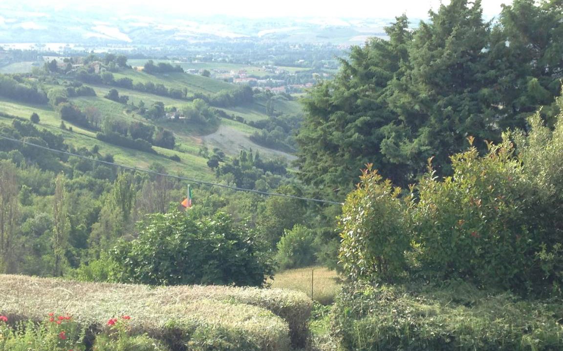 Photo of Others in Montelabbate