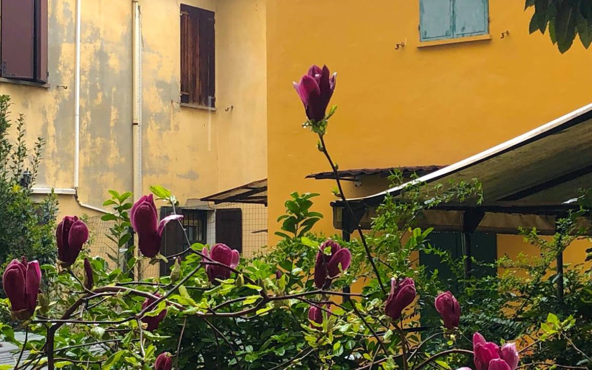 Photo of Others in Bolognina