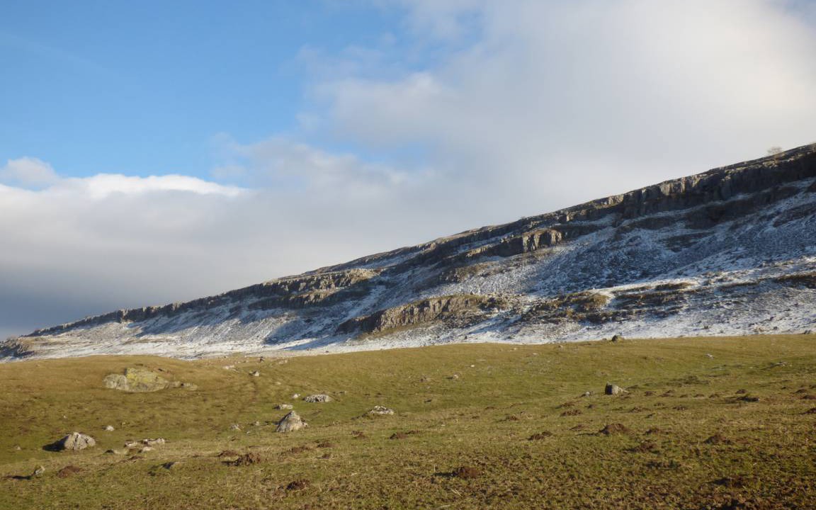 Photo of Others in Redmire