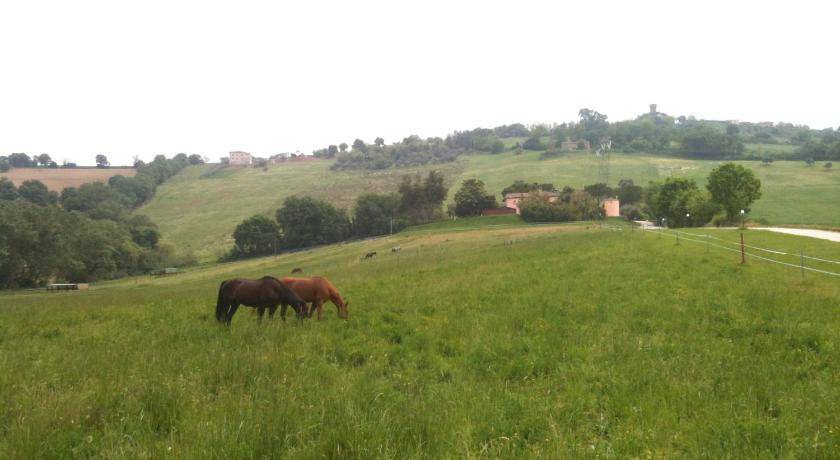 Photo of Others in Offagna