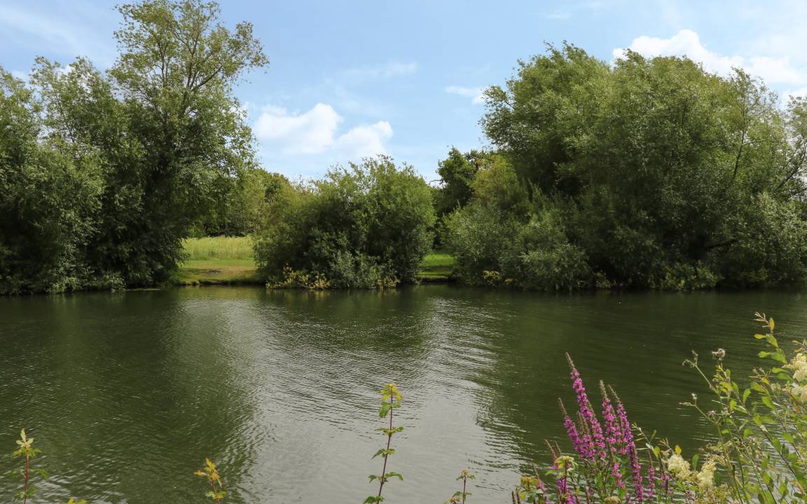 Photo of Others in Cholsey