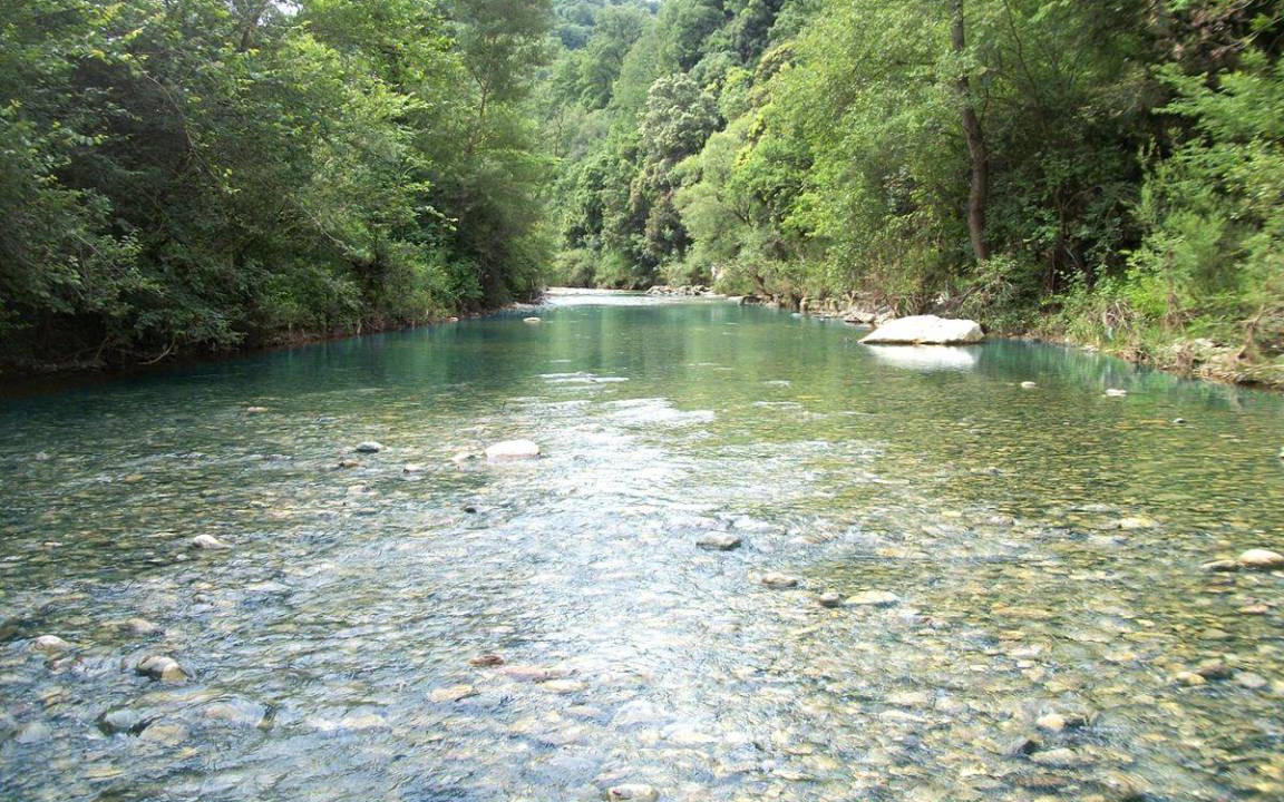 Photo of Others in Saturnia