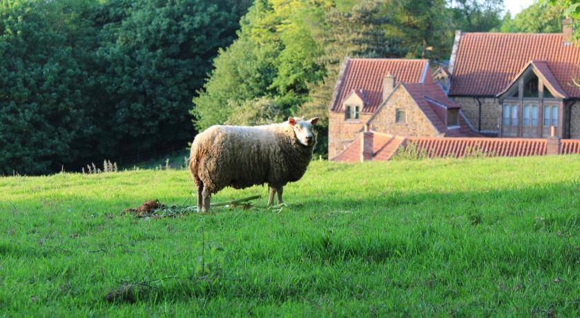 Photo of Others in Sibford Gower