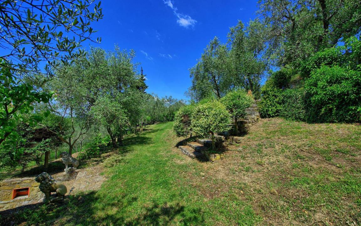 Photo of Others in Greve in Chianti