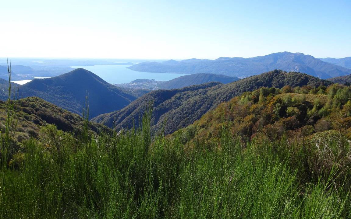 Photo of Others in Verbania