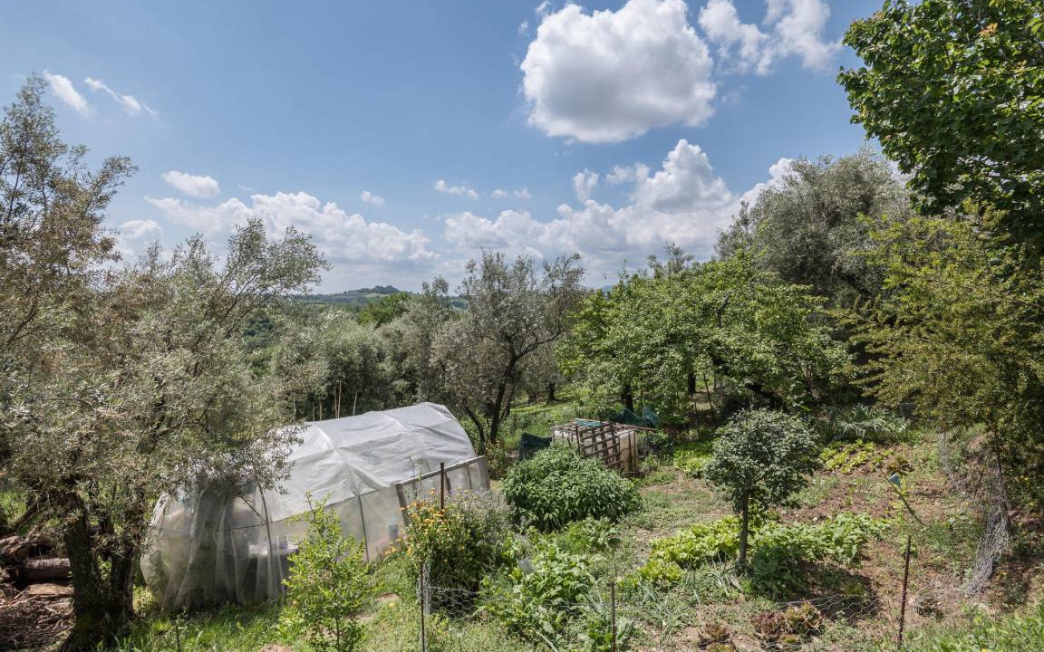 Photo of Others in Montebuono