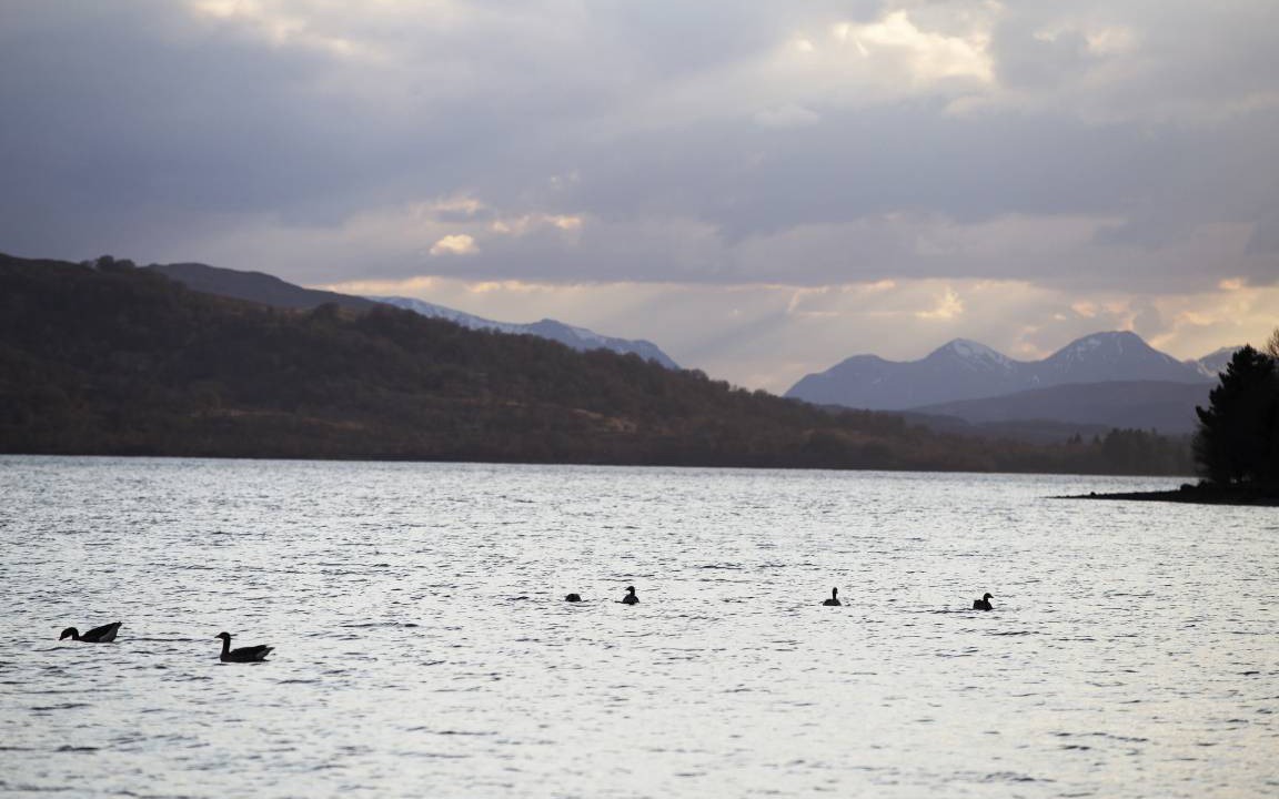 Photo of Others in Loch Tay