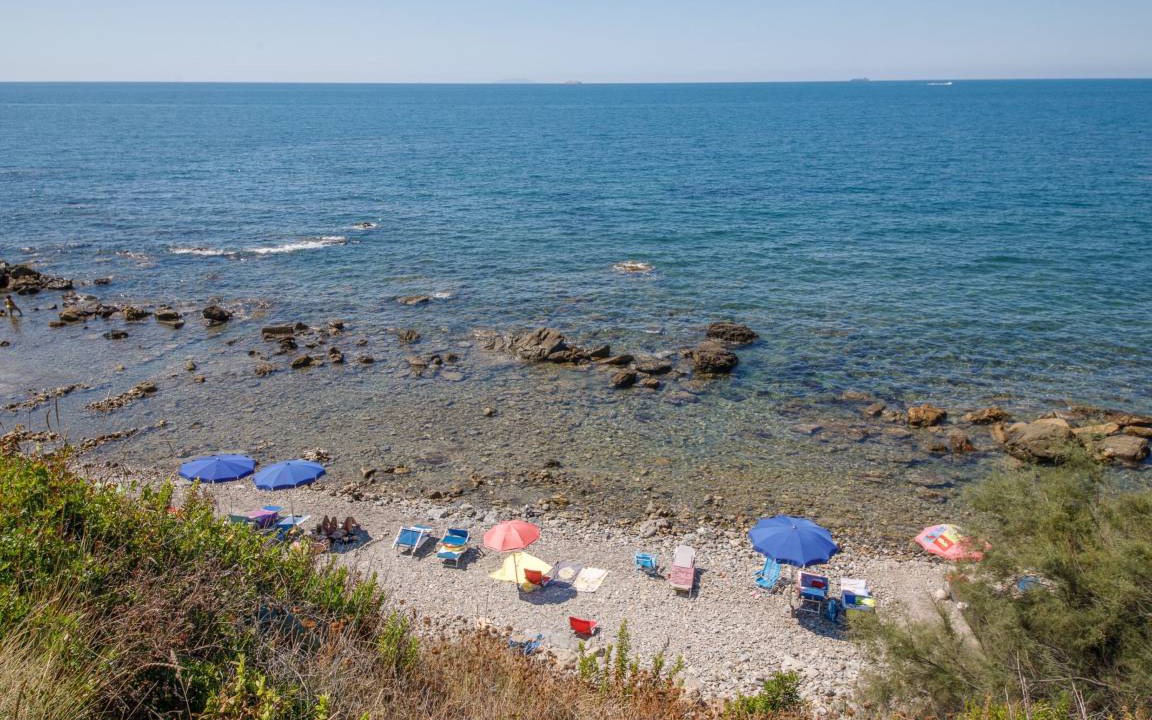 Photo of Others in Livorno