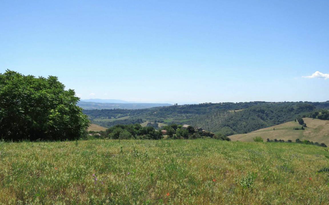 Photo of Others in Bagnoregio