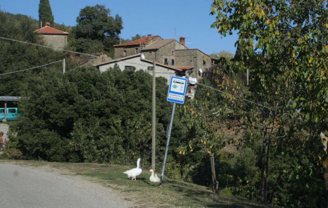 Photo of Others in Montone