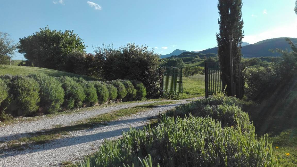 Photo of Others in Sassoferrato