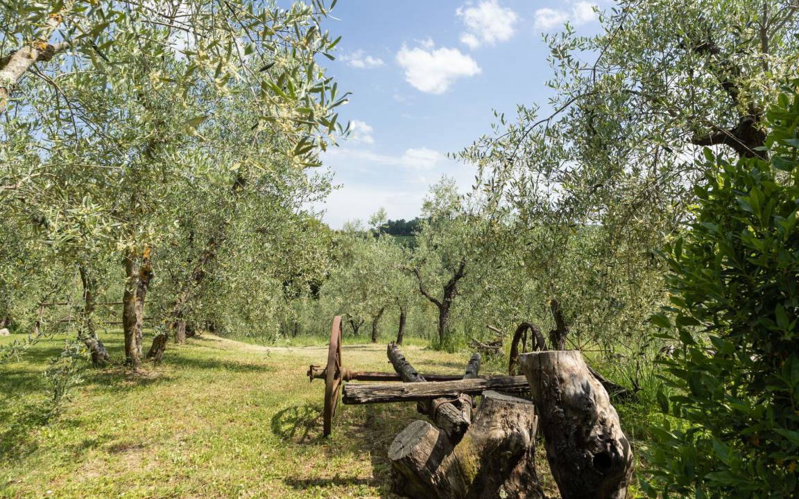 Photo of Others in Poggiarello