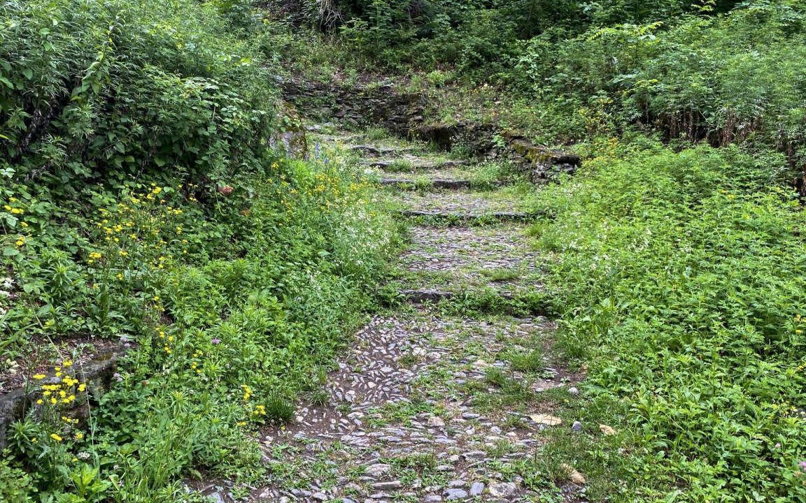 Photo of Outdoor in Bellinzona