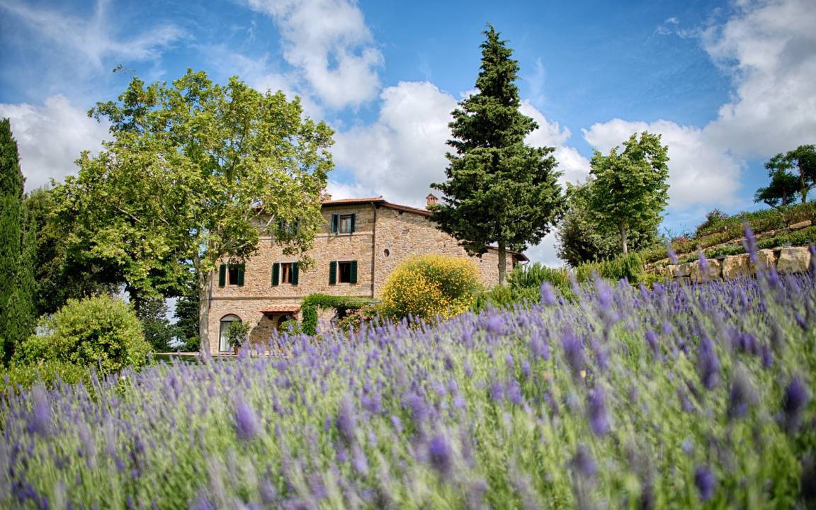 Photo of Others in Panzano in Chianti