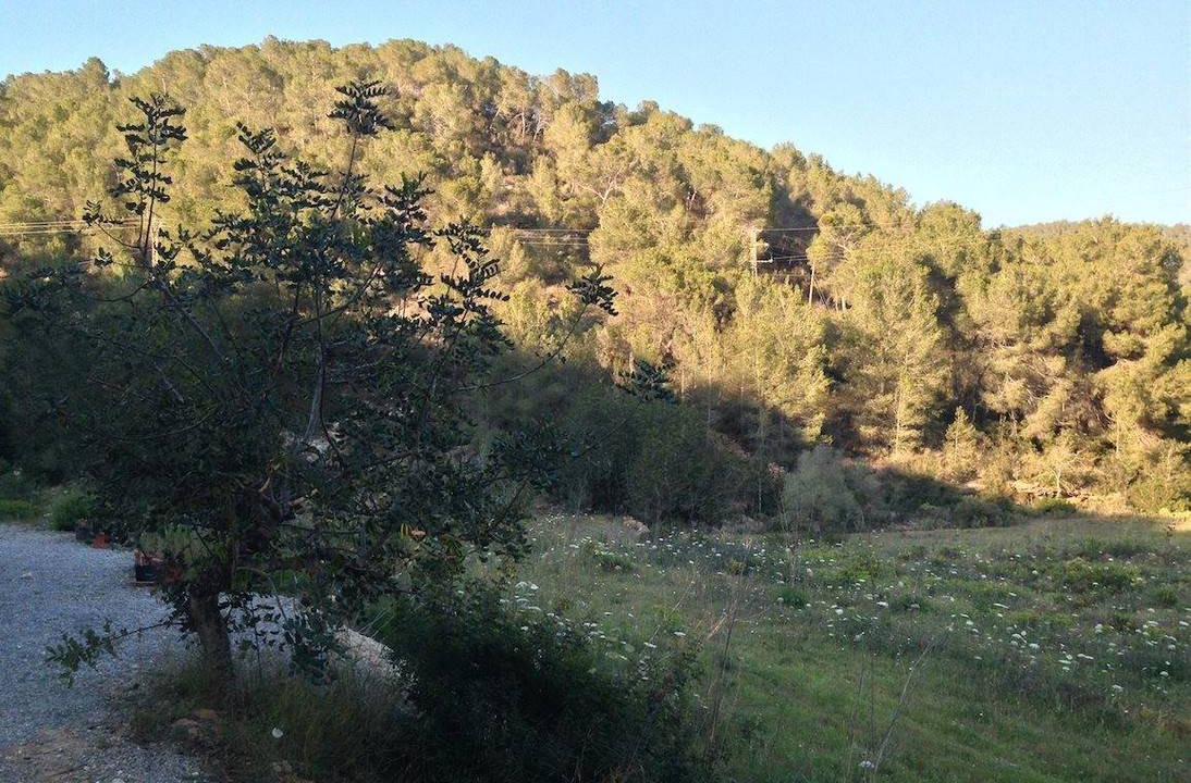 Photo of Others in Bajina Basta