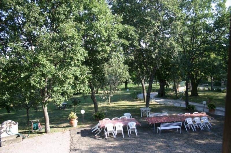 Photo of Others in Serrungarina