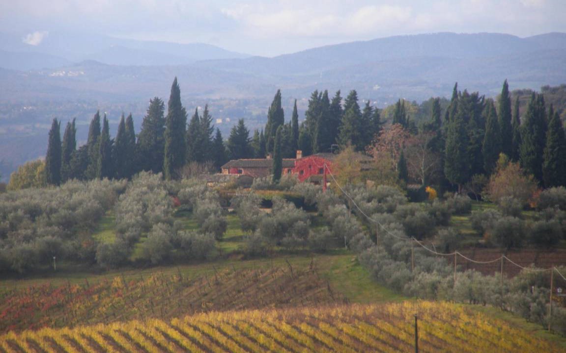 Photo of Others in Barberino Tavarnelle