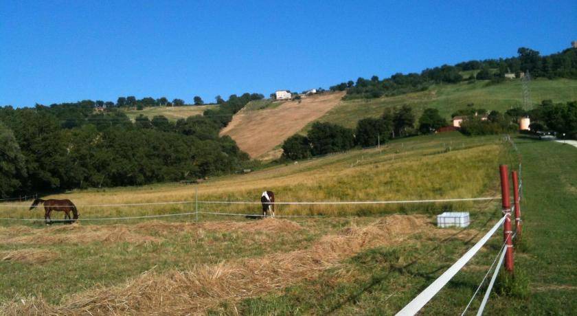 Photo of Others in Offagna