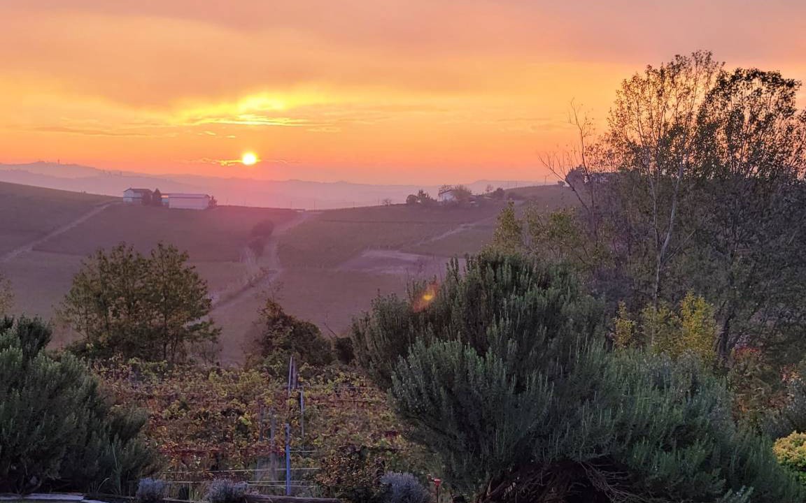 Photo of Others in Nizza Monferrato