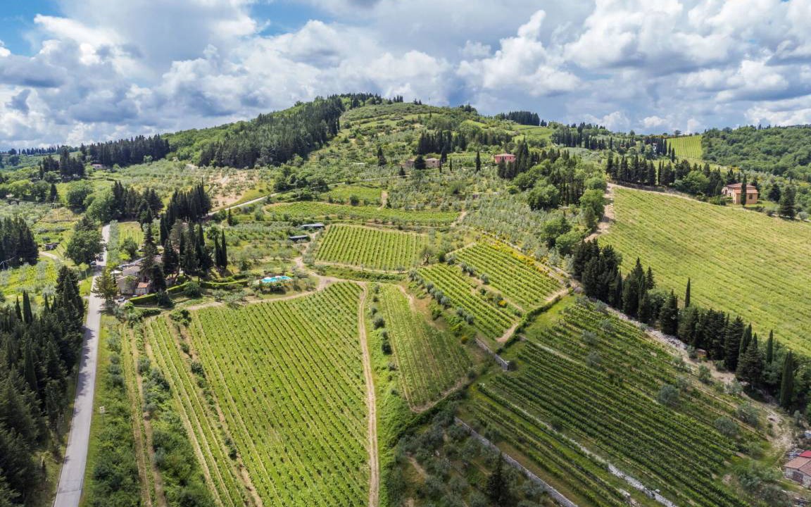 Photo of Others in Greve in Chianti