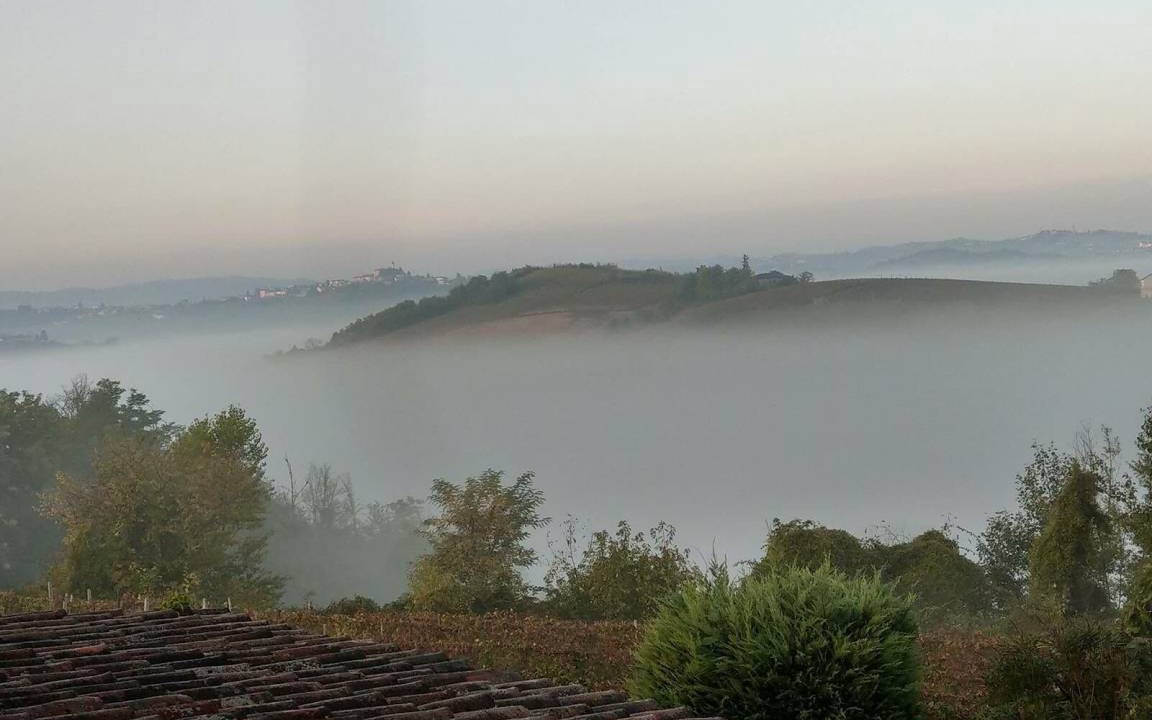 Photo of Others in Nizza Monferrato