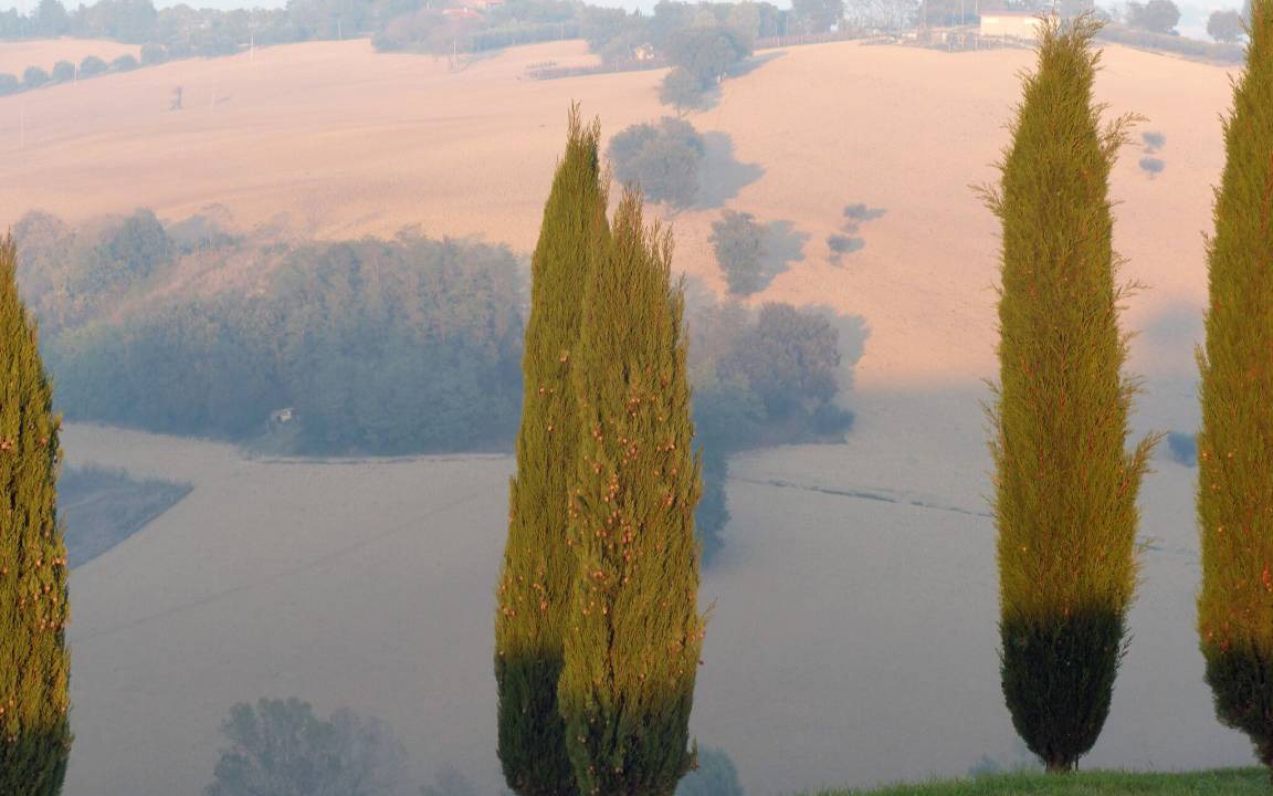Photo of Others in Ostra