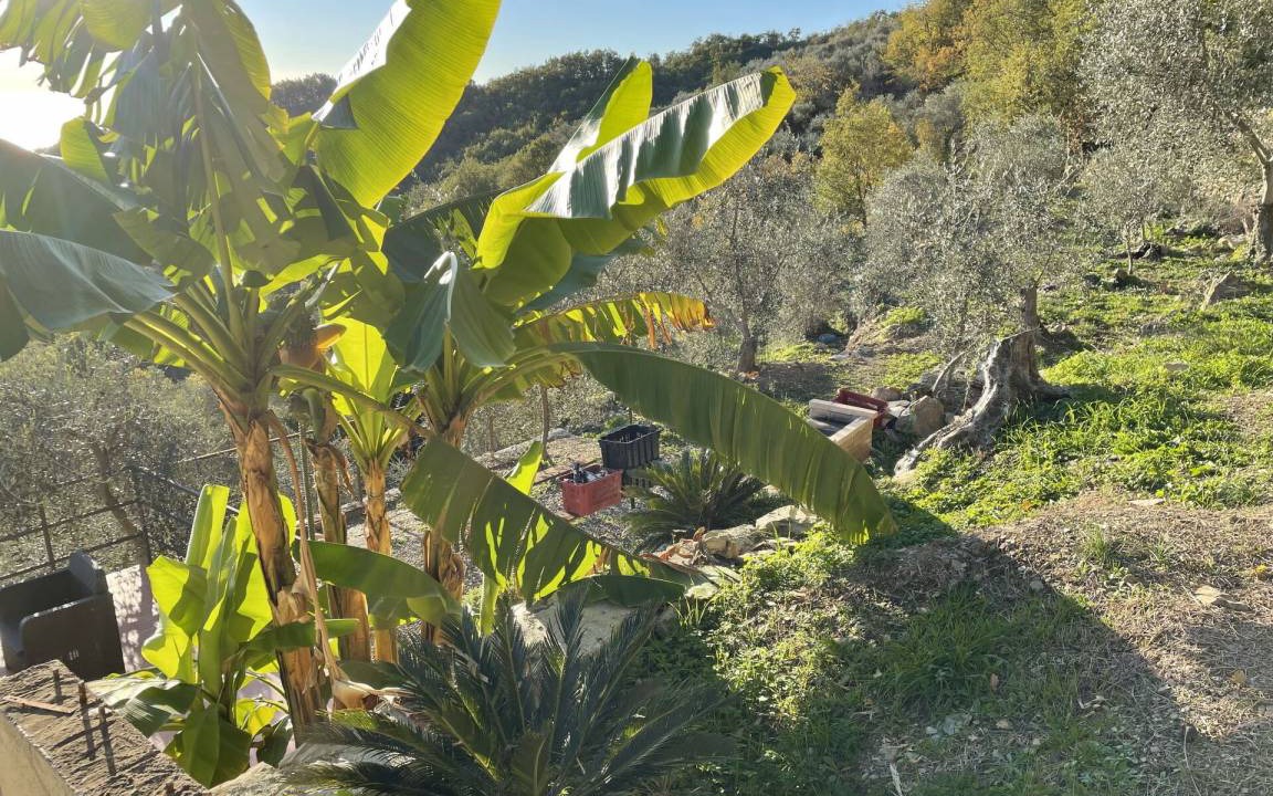 Photo of Others in Valloria